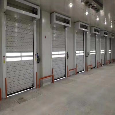 3.9m 모터 샤프트 자동 합금 빠른 롤 업 차고 문과 보안 기능