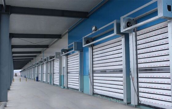 High Speed Automatic Rolling Shutter Door with Fire Proofing Wind Resistance Beaufort 12 and IP55 Protection
